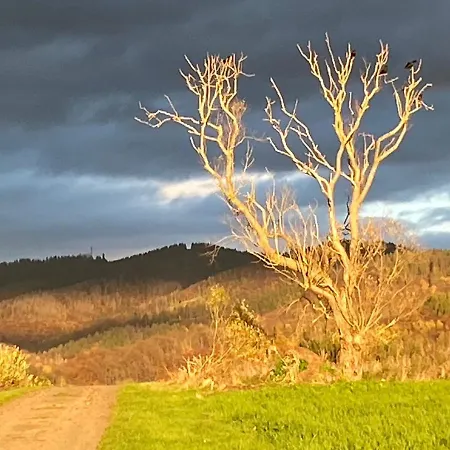 Steinberg-blick Апартаменты Херцберг-ам-Гарц