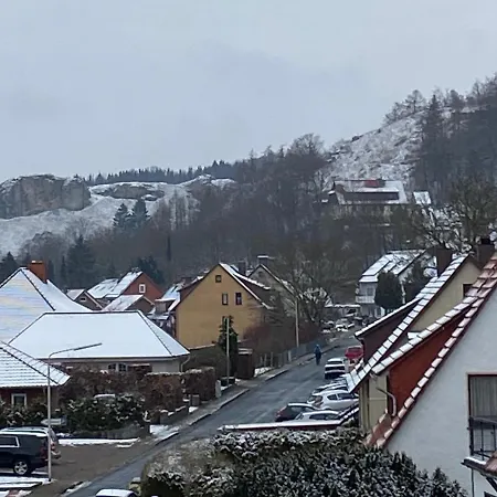 Steinberg-blick