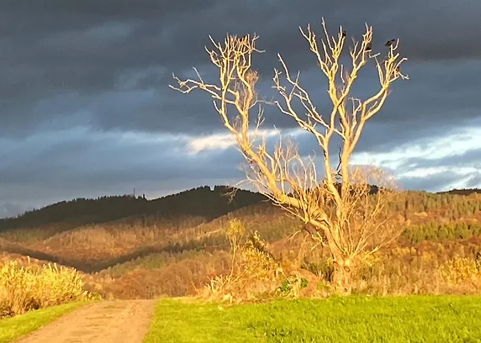 Steinberg-blick 公寓 哈茨边的赫茨伯格