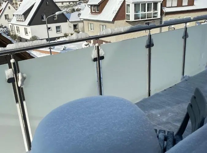 Steinberg-blick 哈茨边的赫茨伯格